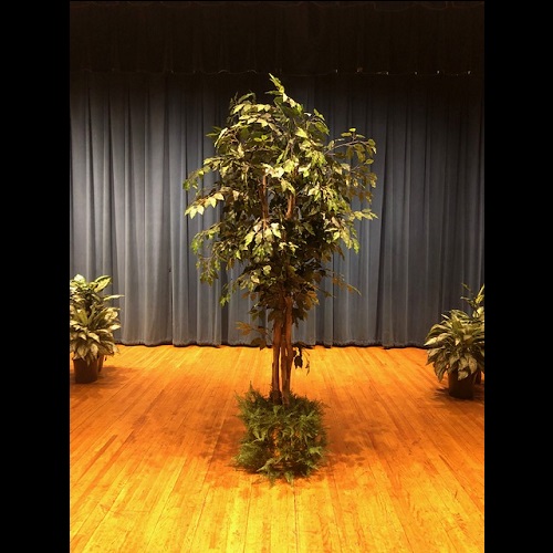 One-of-a-Kind Ficus Tree 7' - Artificial Trees & Floor Plants - artificial ficus trees for rent or own